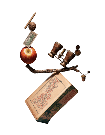 NarrativaTranspersonal